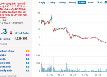 Sau ROS, FLC và HAI, gần 97 triệu cổ phiếu Chứng khoán BOS (ART) sẽ bị đình chỉ giao dịch từ ngày 21/11 - Ảnh 1.