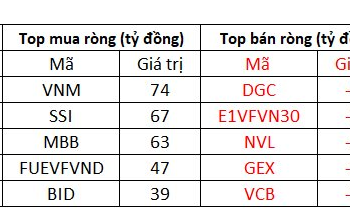 Thị trường điều chỉnh, khối ngoại vẫn tranh thủ gom gần 300 tỷ đồng trong phiên 22/11 - Ảnh 1.
