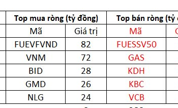 Phiên 24/11: Thị trường giằng co, khối ngoại vẫn miệt mài tung hơn 300 tỷ đồng gom cổ phiếu - Ảnh 1.