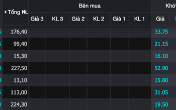 VN-Index đảo chiều ngoạn mục từ đáy, nhiều cổ phiếu vẫn lỡ tàu, giảm sàn trắng bên mua - Ảnh 1.