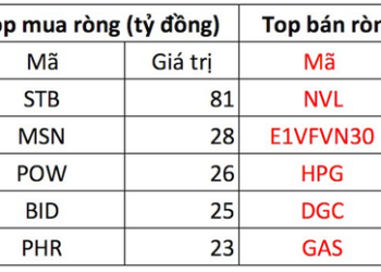 Phiên 23/11: VN-Index điều chỉnh, khối ngoại mua ròng tích cực hơn trăm tỷ đồng - Ảnh 1.