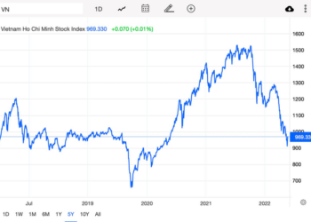 VN-Index hồi phục, nhóm cổ phiếu nào có hiệu suất tốt nhất kể từ đáy? - Ảnh 1.