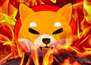 Chiếc ví bí ẩn tự burn 26,7 triệu token SHIB