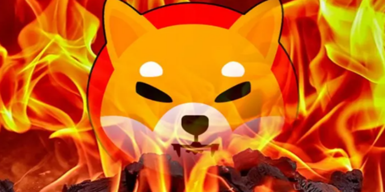 Chiếc ví bí ẩn tự burn 26,7 triệu token SHIB