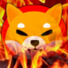 Chiếc ví bí ẩn tự burn 26,7 triệu token SHIB