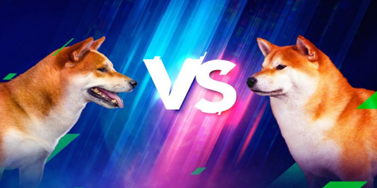 DOGE sập giá, SHIB “ngư ông đắc lợi” tăng trần ấn tượng