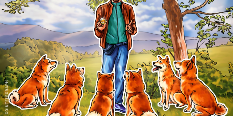 Shiba Inu giảm sâu có phải là tín hiệu của một cú chạm trần 150%?