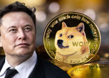 Elon Musk thổi giá Dogecoin chạm trần