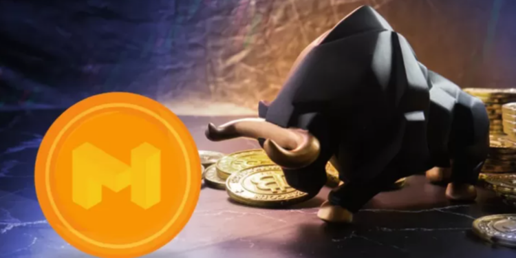 Bật khỏi mốc 1 USD, giá MATIC biến động thế nào trong tháng 11?