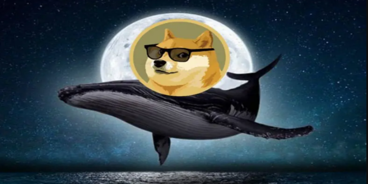 Elon Musk có phải là nguyên nhân khiến giá DOGE tăng 10%?