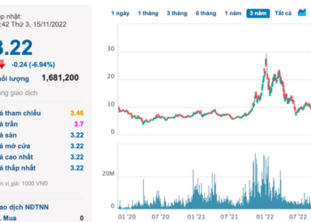 Vừa bị bán giải chấp hơn 8 triệu cổ phiếu LDG trong 2 tuần, Chủ tịch Nguyễn Khánh Hưng tiếp tục bị call margin - Ảnh 1.