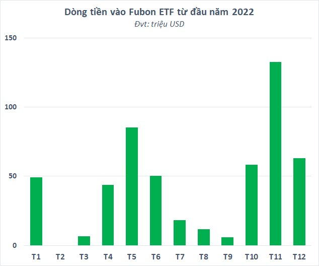 Còn hơn 2.000 tỷ đồng chờ Fubon ETF giải ngân vào chứng khoán Việt Nam, những cổ phiếu nào sẽ được gom mạnh? - Ảnh 2.