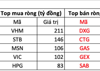 Bất chấp thị trường điều chỉnh, khối ngoại vẫn mạnh tay gom hơn 1.100 tỷ đồng trong phiên đầu tháng - Ảnh 1.