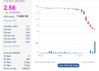 Bị bán giải chấp hơn 14% công ty sau 10 phiên, Shark Thủy và Egroup còn sở hữu bao nhiêu cổ phiếu Apax Holdings (IBC)? - Ảnh 1.