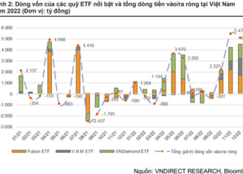 Các quỹ ETF mua ròng gần 13.000 tỷ đồng cổ phiếu Việt Nam trong quý 4 - Ảnh 1.