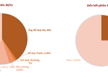 Chủ tịch Hải Phát Đỗ Quý Hải lại bị giải chấp cổ phiếu HPX trong phiên thị giá giảm sàn - Ảnh 1.