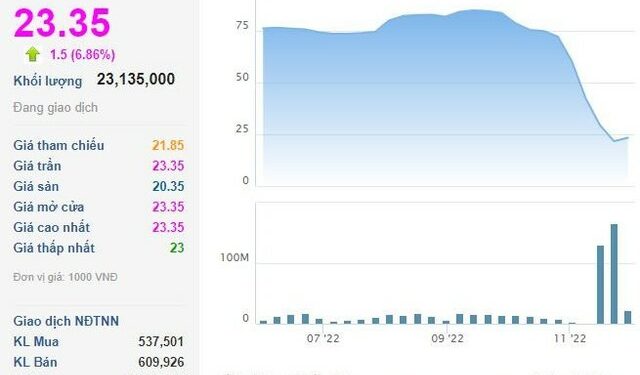Chưa kịp “sang tay” 150 triệu cổ phiếu NVL, NovaGroup đã bị bán giải chấp hàng chục triệu đơn vị? - Ảnh 1.