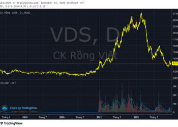 Chứng khoán Rồng Việt (VDS) bị xử phạt do vi phạm trong tư vấn phát hành trái phiếu doanh nghiệp - Ảnh 1.