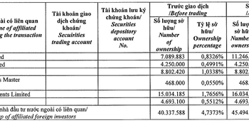 Cổ phiếu bất động sản phục hồi từ đáy, Dragon Capital mua ròng KBC, GEX và trở lại vai trò cổ đông lớn - Ảnh 1.