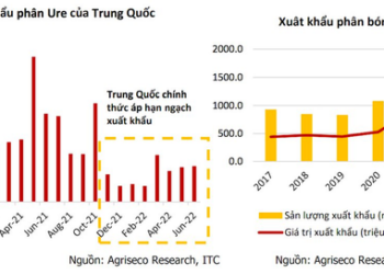 Cổ phiếu ngành nào có thể bị ảnh hưởng khi Trung Quốc mở cửa nền kinh tế? - Ảnh 1.