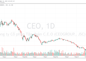 Cổ phiếu tăng trần 5 phiên liên tiếp, Tập đoàn CEO (CEO) và Petrosetco (PET) nói gì? - Ảnh 1.