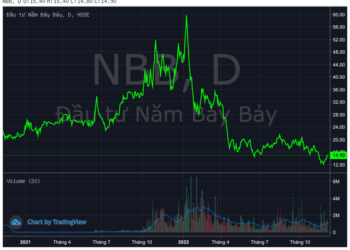 Công ty con của CII không mua hết lượng cổ phiếu NBB đã đăng ký - Ảnh 1.