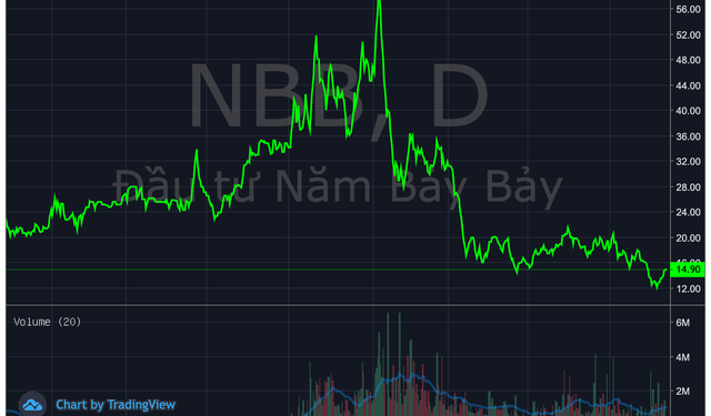 Công ty con của CII không mua hết lượng cổ phiếu NBB đã đăng ký - Ảnh 1.