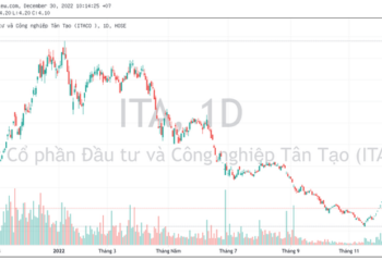 Công ty liên quan bà Đặng Thị Hoàng Yến không mua đủ 10 triệu cổ phiếu ITA như đăng ký do vướng lô lẻ - Ảnh 1.
