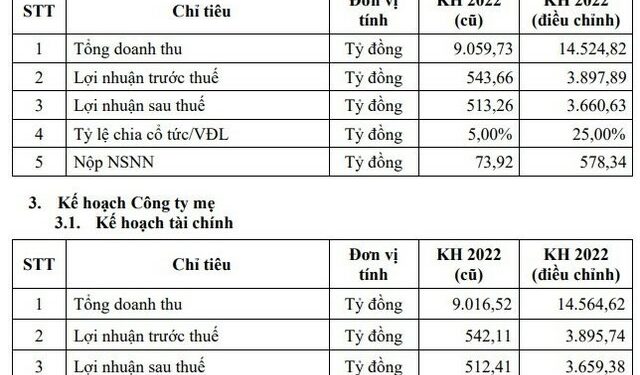 Đạm Cà Mau (DCM) điều chỉnh chỉ tiêu lợi nhuận gấp 7 lần so với kế hoạch cũ vào phút chót - Ảnh 1.