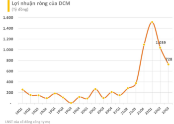 Đạm Cà Mau (DCM) ước đạt doanh thu năm 2022 cao nhất trong lịch sử hoạt động - Ảnh 1.