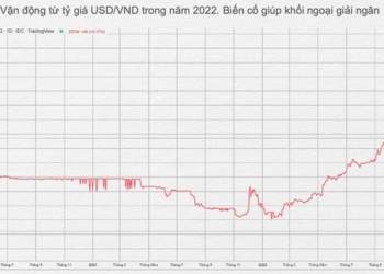 Dấu hiệu VN-Index đã tạo đáy xong và chuẩn bị bước vào chu kỳ tăng mới? - Ảnh 1.