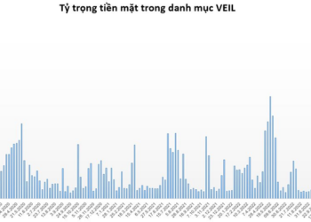 Đẩy mạnh giải ngân, quỹ lớn nhất của Dragon Capital nắm giữ lượng tiền thấp nhất trong 3 tháng - Ảnh 1.