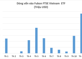Điều gì khiến Fubon ETF bơm hàng nghìn tỷ mua cổ phiếu Việt Nam? - Ảnh 1.