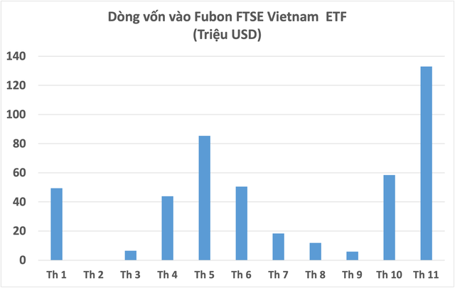 Điều gì khiến Fubon ETF bơm hàng nghìn tỷ mua cổ phiếu Việt Nam? - Ảnh 1.
