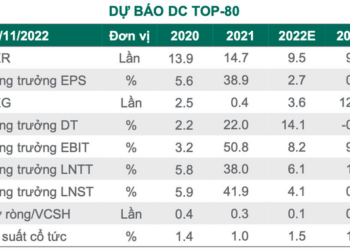 Dragon Capital: Đỉnh điểm của sự bi quan đã qua đi, TTCK Việt Nam tăng trở lại trên nền định giá thấp - Ảnh 1.