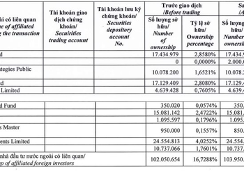 Dragon Capital mua ròng 2 cổ phiếu bất động sản khi thị giá hồi phục 60-70% từ đáy - Ảnh 1.
