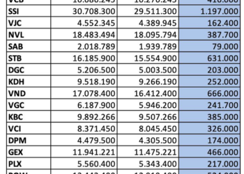 Fubon ETF hút ròng hơn 600 tỷ đồng mua cổ phiếu Việt Nam trong hai phiên cuối tháng 11 - Ảnh 1.