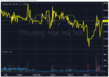 Hapro (HTM) bị xử phạt và truy thu thuế hơn 3,4 tỷ đồng với hàng loạt vi phạm - Ảnh 1.