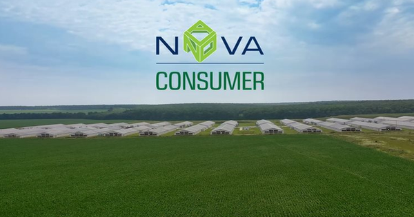 HoSE dừng xem xét hồ sơ niêm yết của Nova Consumer