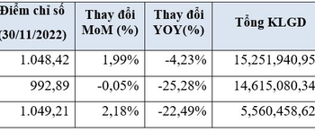 HoSE: Hơn 15 tỷ cổ phiếu được giao dịch trong tháng 11, thị phần khối ngoại tiếp tục tăng mạnh - Ảnh 1.