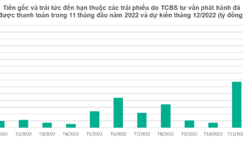 Hơn 400 mã trái phiếu do TCBS tư vấn phát hành được thanh toán - Ảnh 1.