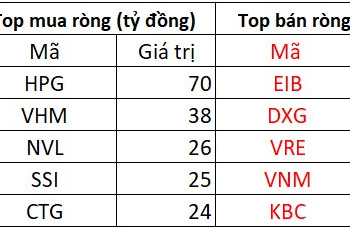 Khối ngoại bán ròng đột biến 2.500 tỷ đồng toàn thị trường, chấm dứt chuỗi 23 phiên mua ròng liên tiếp - Ảnh 1.
