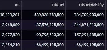 Khối ngoại bất ngờ chi gần 800 tỷ gom 25% cổ phần một doanh nghiệp ngành điện - Ảnh 1.