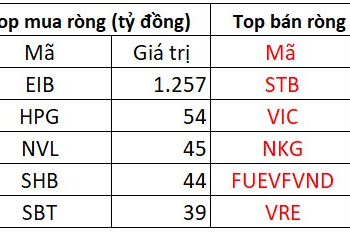 Khối ngoại đẩy mạnh mua ròng 1.700 tỷ đồng trong ngày VN-Index điều chỉnh - Ảnh 1.