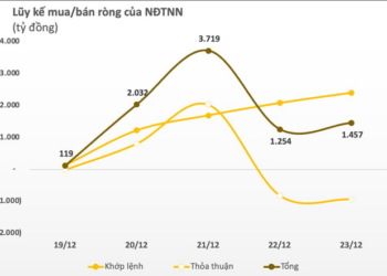 Khối ngoại giảm mua, VN-Index mất điểm trong tuần 19-23/12 - Ảnh 1.