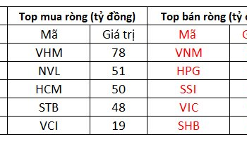 Khối ngoại mua ròng nhẹ trong phiên thị trường giằng co, tiếp tục gom VHM, NVL - Ảnh 1.
