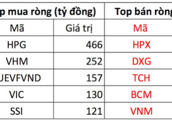 Phiên 30/11: Khối ngoại tiếp đà mua ròng 1.700 tỷ đồng, tập trung gom VHM, HPG - Ảnh 1.