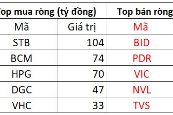 Khối ngoại tiếp tục mua ròng 500 tỷ đồng trong phiên cuối cùng của năm 2022 - Ảnh 1.