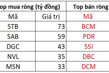 Phiên 28/12: Khối ngoại tiếp tục mua ròng hơn 300 tỷ đồng, xả mạnh một cổ phiếu bất động sản - Ảnh 1.