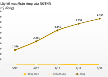 Khối ngoại tung thêm 4.300 tỷ đồng mua ròng trong tuần 5-9/12, cổ phiếu nào được gom mạnh nhất? - Ảnh 1.